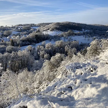 Haus Mittelrhein Проживание в семье Ренс