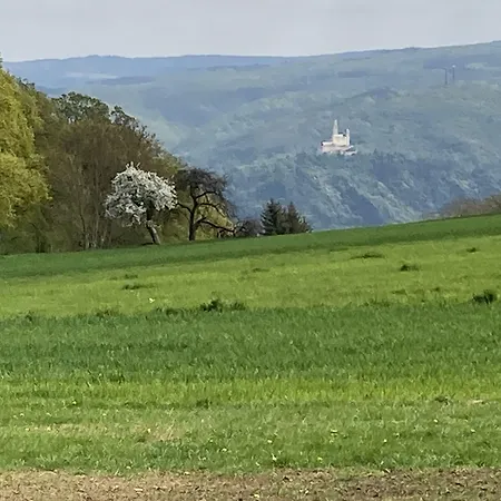 Проживание в семье Haus Mittelrhein *