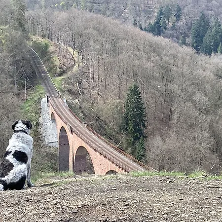 Haus Mittelrhein Проживание в семье