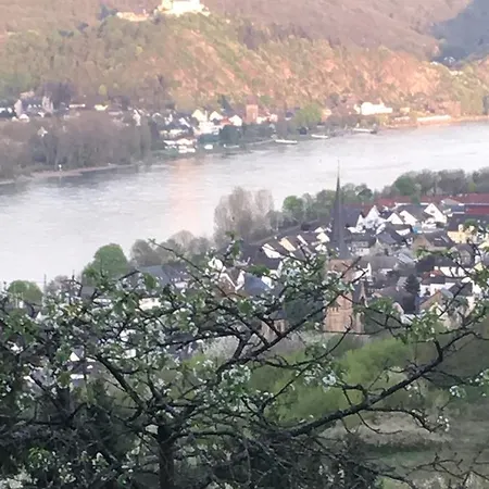 民宿 Haus Mittelrhein 伦斯
