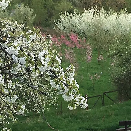 Homestay Haus Mittelrhein