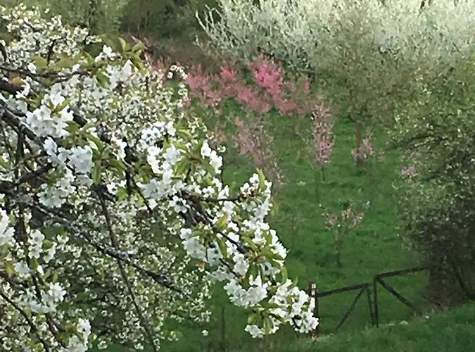 Privat bolig Haus Mittelrhein