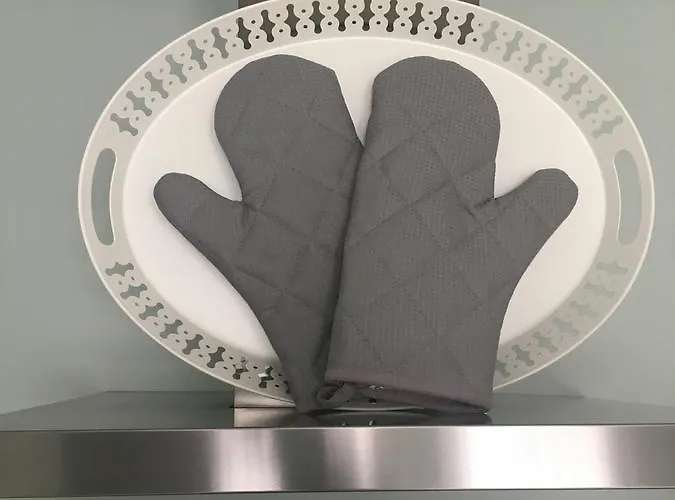 Haus Mittelrhein * Rhens